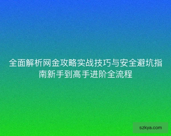 全面解析网金攻略实战技巧与安全避坑指南新手到高手进阶全流程