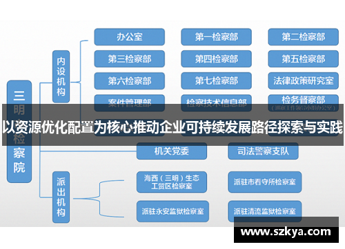 以资源优化配置为核心推动企业可持续发展路径探索与实践